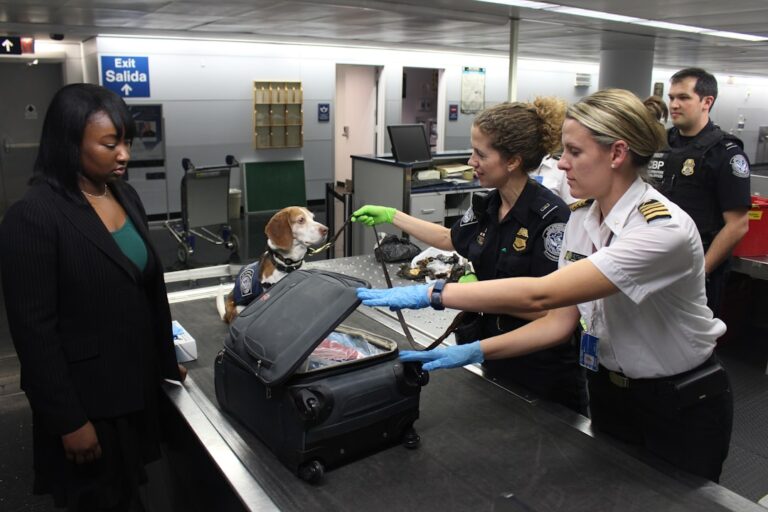 How to Choose the Perfect Suitcase for Your Next Trip