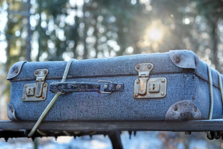 Stylish and Durable: The Best Suitcases for Modern Travelers